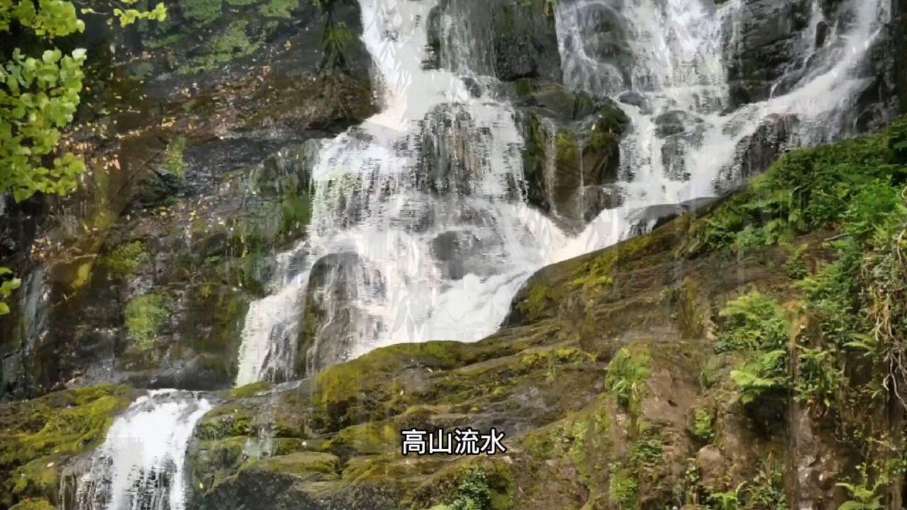 巧虎足球传送门